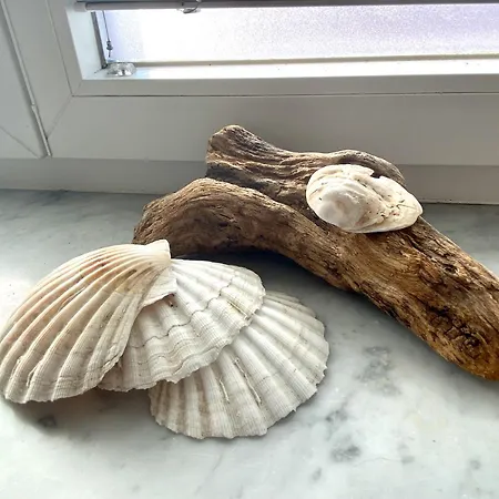 Riva - Wohlfuehloase In Ruhiger Lage *